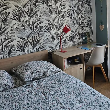 Maison Avec Deux Chambres, Un Jardin Et Terrasse Vannes